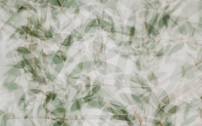 Uploaded Image